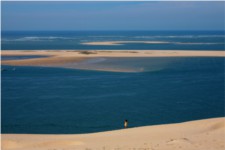 Le Banc d'Arguin