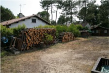 Trois bûchers