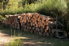 le stock pour l'hiver