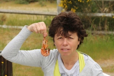 les langoustes