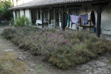 la bruyère la bruyère
