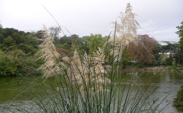 Herbes