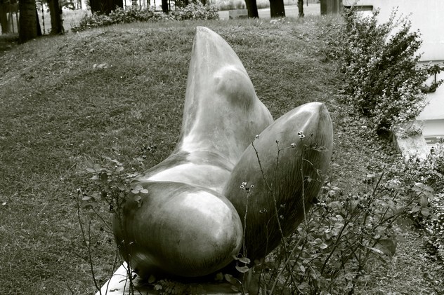 Fontana - Baltasar Lobo