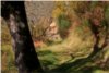 Le chemin