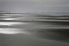Le calm plat