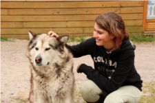 Le loup
