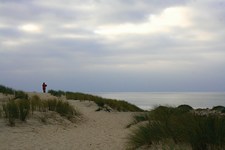 La célébrité