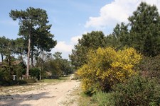 Le chemin