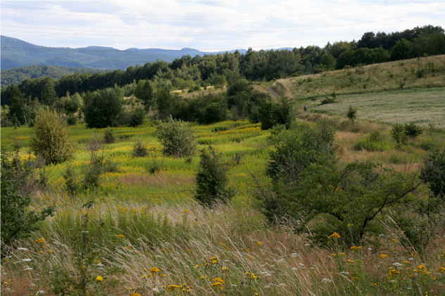 Promenade de Giedymin