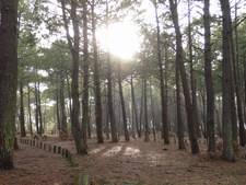 Les chemins