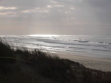 La dynamique des vagues