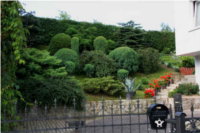 Jardin de Tadeusz