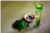 Tortue I