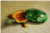 Tortue II