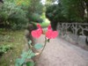 Promenade Promenade
