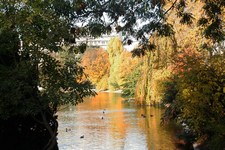 Montsouris Lake